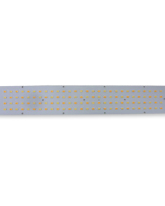 Board LED cw/ww Zeus LED
